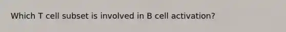 Which T cell subset is involved in B cell activation?