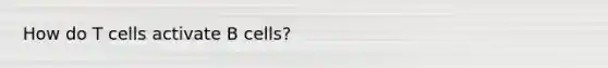 How do T cells activate B cells?