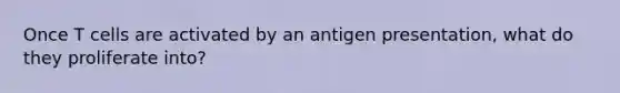 Once T cells are activated by an antigen presentation, what do they proliferate into?