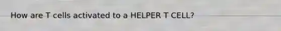 How are T cells activated to a HELPER T CELL?