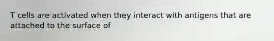 T cells are activated when they interact with antigens that are attached to the surface of