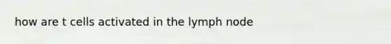 how are t cells activated in the lymph node