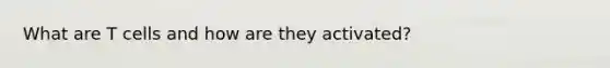 What are T cells and how are they activated?