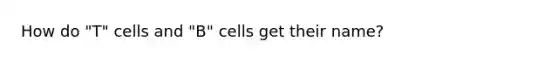 How do "T" cells and "B" cells get their name?