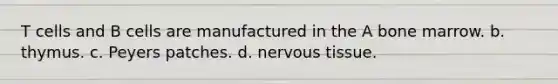 T cells and B cells are manufactured in the A bone marrow. b. thymus. c. Peyers patches. d. nervous tissue.