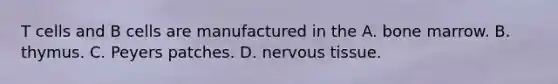 T cells and B cells are manufactured in the A. bone marrow. B. thymus. C. Peyers patches. D. nervous tissue.