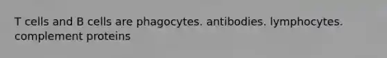 T cells and B cells are phagocytes. antibodies. lymphocytes. complement proteins