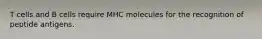 T cells and B cells require MHC molecules for the recognition of peptide antigens.