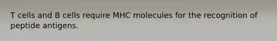 T cells and B cells require MHC molecules for the recognition of peptide antigens.