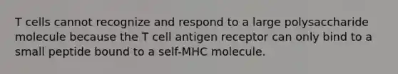 T cells cannot recognize and respond to a large polysaccharide molecule because the T cell antigen receptor can only bind to a small peptide bound to a self-MHC molecule.