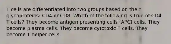 T cells are differentiated into two groups based on their glycoproteins: CD4 or CD8. Which of the following is true of CD4 T cells? They become antigen presenting cells (APC) cells. They become plasma cells. They become cytotoxic T cells. They become T helper cells.