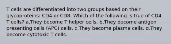 T cells are differentiated into two groups based on their glycoproteins: CD4 or CD8. Which of the following is true of CD4 T cells? a.They become T helper cells. b.They become antigen presenting cells (APC) cells. c.They become plasma cells. d.They become cytotoxic T cells.