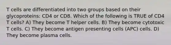 T cells are differentiated into two groups based on their glycoproteins: CD4 or CD8. Which of the following is TRUE of CD4 T cells? A) They become T helper cells. B) They become cytotoxic T cells. C) They become antigen presenting cells (APC) cells. D) They become plasma cells.