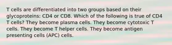 T cells are differentiated into two groups based on their glycoproteins: CD4 or CD8. Which of the following is true of CD4 T cells? They become plasma cells. They become cytotoxic T cells. They become T helper cells. They become antigen presenting cells (APC) cells.