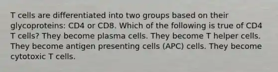 T cells are differentiated into two groups based on their glycoproteins: CD4 or CD8. Which of the following is true of CD4 T cells? They become plasma cells. They become T helper cells. They become antigen presenting cells (APC) cells. They become cytotoxic T cells.