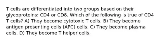 T cells are differentiated into two groups based on their glycoproteins: CD4 or CD8. Which of the following is true of CD4 T cells? A) They become cytotoxic T cells. B) They become antigen presenting cells (APC) cells. C) They become plasma cells. D) They become T helper cells.