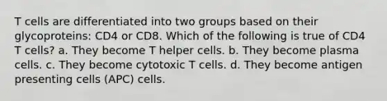 T cells are differentiated into two groups based on their glycoproteins: CD4 or CD8. Which of the following is true of CD4 T cells? a. They become T helper cells. b. They become plasma cells. c. They become cytotoxic T cells. d. They become antigen presenting cells (APC) cells.