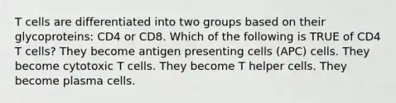 T cells are differentiated into two groups based on their glycoproteins: CD4 or CD8. Which of the following is TRUE of CD4 T cells? They become antigen presenting cells (APC) cells. They become cytotoxic T cells. They become T helper cells. They become plasma cells.