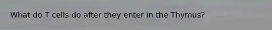 What do T cells do after they enter in the Thymus?
