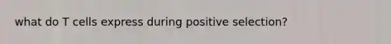 what do T cells express during positive selection?