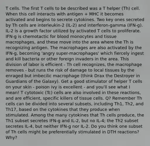 T cells. The first T cells to be described was a T helper (Th) cell. When this cell interacts with antigen + MHC it becomes activated and begins to secrete cytokines. Two key ones secreted by Th cells are interleukin-2 (IL-2) and interferon-gamma (IFN-g). IL-2 is a growth factor utilized by activated T cells to proliferate. IFN-g is chemotactic for blood monocytes and tissue macrophages, and these move into the area where the Th is recognizing antigen. The macrophages are also activated by the IFN-g, becoming 'angry super-macrophages' which fiercely ingest and kill bacteria or other foreign invaders in the area. This division of labor is efficient - Th cell recognizes, the macrophage removes - but runs the risk of damage to local tissues by the enraged but imbecilic macrophage (think Drax the Destroyer in Guardians of the Galaxy). Get a good stimulator of helper T cells on your skin - poison ivy is excellent - and you'll see what I mean! T cytotoxic (Tc) cells are also involved in these reactions, and are efficient, specific killers of tissue cells. Q? Remember Th cells can be divided into several subsets, including Th1, Th2, and Th17, based on the cytokines that they produce when stimulated. Among the many cytokines that Th cells produce, the Th1 subset secretes IFN-g and IL-2, but no IL-4; the Th2 subset secretes IL-4, but neither IFN-g nor IL-2. Do you think one subset of Th cells might be preferentially stimulated in DTH reactions? Why?