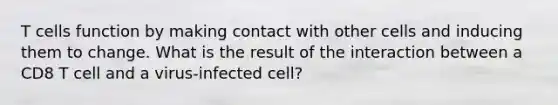 T cells function by making contact with other cells and inducing them to change. What is the result of the interaction between a CD8 T cell and a virus-infected cell?