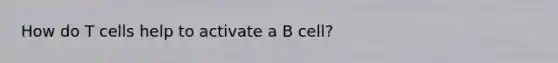 How do T cells help to activate a B cell?
