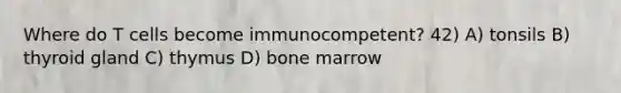 Where do T cells become immunocompetent? 42) A) tonsils B) thyroid gland C) thymus D) bone marrow