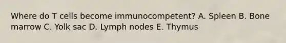 Where do T cells become immunocompetent? A. Spleen B. Bone marrow C. Yolk sac D. Lymph nodes E. Thymus