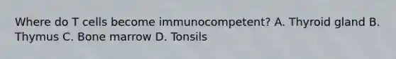 Where do T cells become immunocompetent? A. Thyroid gland B. Thymus C. Bone marrow D. Tonsils