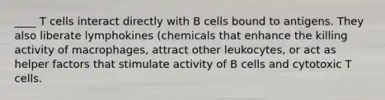 ____ T cells interact directly with B cells bound to antigens. They also liberate lymphokines (chemicals that enhance the killing activity of macrophages, attract other leukocytes, or act as helper factors that stimulate activity of B cells and cytotoxic T cells.