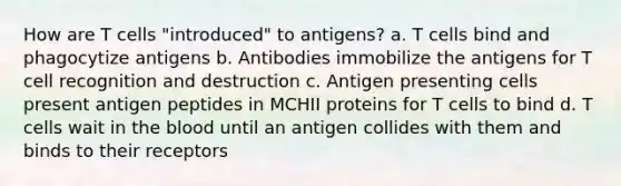 How are T cells "introduced" to antigens? a. T cells bind and phagocytize antigens b. Antibodies immobilize the antigens for T cell recognition and destruction c. Antigen presenting cells present antigen peptides in MCHII proteins for T cells to bind d. T cells wait in the blood until an antigen collides with them and binds to their receptors