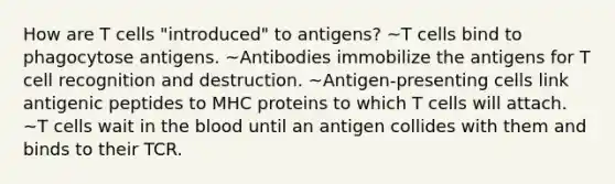 How are T cells "introduced" to antigens? ~T cells bind to phagocytose antigens. ~Antibodies immobilize the antigens for T cell recognition and destruction. ~Antigen-presenting cells link antigenic peptides to MHC proteins to which T cells will attach. ~T cells wait in <a href='https://www.questionai.com/knowledge/k7oXMfj7lk-the-blood' class='anchor-knowledge'>the blood</a> until an antigen collides with them and binds to their TCR.