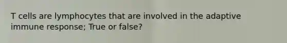 T cells are lymphocytes that are involved in the adaptive immune response; True or false?