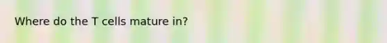 Where do the T cells mature in?