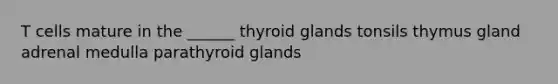 T cells mature in the ______ thyroid glands tonsils thymus gland adrenal medulla parathyroid glands