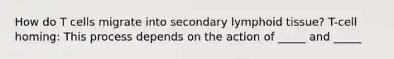 How do T cells migrate into secondary lymphoid tissue? T-cell homing: This process depends on the action of _____ and _____