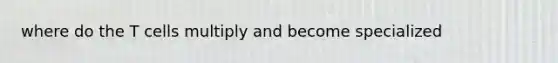where do the T cells multiply and become specialized
