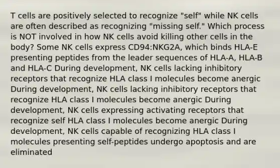 T cells are positively selected to recognize "self" while NK cells are often described as recognizing "missing self." Which process is NOT involved in how NK cells avoid killing other cells in the body? Some NK cells express CD94:NKG2A, which binds HLA-E presenting peptides from the leader sequences of HLA-A, HLA-B and HLA-C During development, NK cells lacking inhibitory receptors that recognize HLA class I molecules become anergic During development, NK cells lacking inhibitory receptors that recognize HLA class I molecules become anergic During development, NK cells expressing activating receptors that recognize self HLA class I molecules become anergic During development, NK cells capable of recognizing HLA class I molecules presenting self-peptides undergo apoptosis and are eliminated