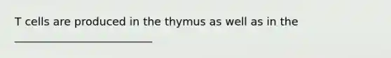 T cells are produced in the thymus as well as in the _________________________