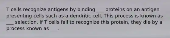 T cells recognize antigens by binding ___ proteins on an antigen presenting cells such as a dendritic cell. This process is known as ___ selection. If T cells fail to recognize this protein, they die by a process known as ___.