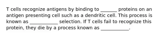 T cells recognize antigens by binding to _______ proteins on an antigen presenting cell such as a dendritic cell. This process is known as ____________ selection. If T cells fail to recognize this protein, they die by a process known as ____________.