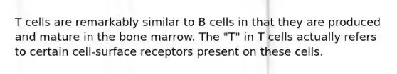 T cells are remarkably similar to B cells in that they are produced and mature in the bone marrow. The "T" in T cells actually refers to certain cell-surface receptors present on these cells.