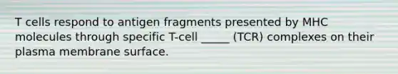 T cells respond to antigen fragments presented by MHC molecules through specific T-cell _____ (TCR) complexes on their plasma membrane surface.