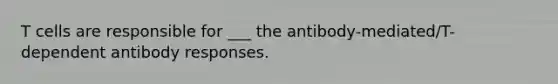 T cells are responsible for ___ the antibody-mediated/T-dependent antibody responses.