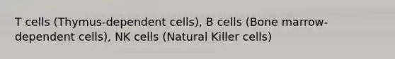 T cells (Thymus-dependent cells), B cells (Bone marrow-dependent cells), NK cells (Natural Killer cells)