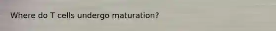 Where do T cells undergo maturation?