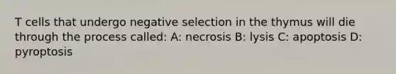 T cells that undergo negative selection in the thymus will die through the process called: A: necrosis B: lysis C: apoptosis D: pyroptosis