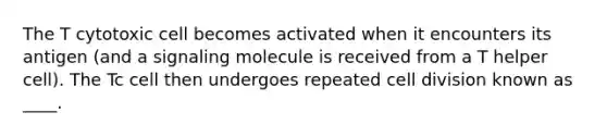 The T cytotoxic cell becomes activated when it encounters its antigen (and a signaling molecule is received from a T helper cell). The Tc cell then undergoes repeated cell division known as ____.