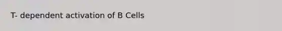 T- dependent activation of B Cells